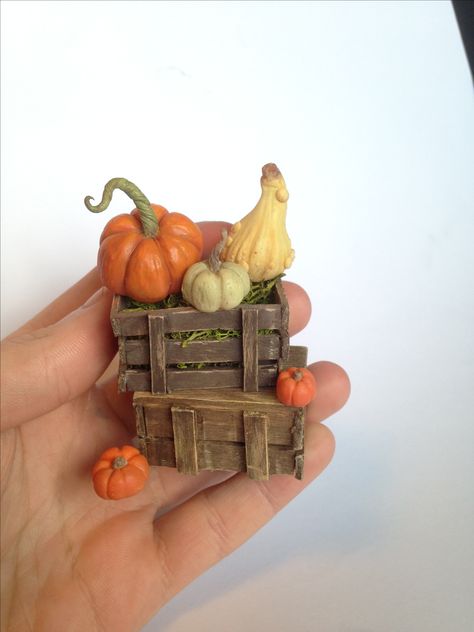 Gourd display by Michael R Miniatures. 1/12th scale   #autumn #pumpkin #halloween Miniature Pumpkin Patch, Miniature Fall Scene, Miniature Fall Decor, Fall Miniatures, Clay Autumn, Miniature Dollhouse Food, Clay Fairy House, Pumpkin Tea, Popsicle Crafts