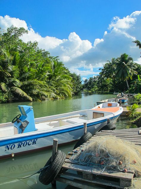 guadeloupe caraibes Guadeloupe Aesthetic, Port Louis, Holiday Places, Napoleon Hill, Island Hopping, Bora Bora, Caribbean Islands, Tropical Vibes, Catamaran