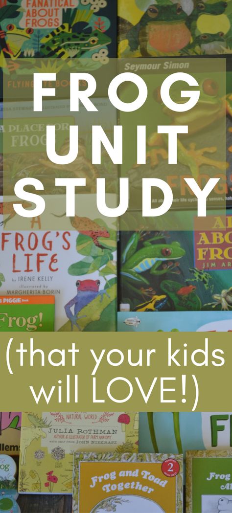 Frog Books For Preschool, Frog And Toad Activities Preschool, Frog Themed Activities, Frog Learning Activities, Frogs For Preschoolers, Frog Unit Kindergarten, Tadpoles To Frogs Preschool, Pond Unit Study, Toddler Frog Activities