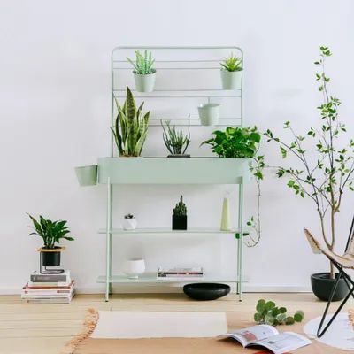 Plant Ladder Shelf, Bright Airy Home, Plant Stand Shelf, Plant Ladder, Room Separator, Airy Home, Indoor Farming, Home Bathroom Decor, Girl Apartment