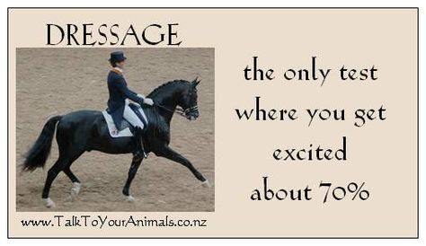 Excited about Dressage $1.50 Dressage Quotes, Equestrian Memes, Equine Quotes, Horse Back Riding, Equestrian Quotes, Eventing Horses, Funny Horses, Horse Dressage, Dressage Horses