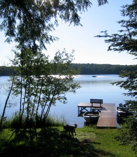 Cabins in Wisconsin | Three Lakes | Riepenhoff’s Butternut Lake Cabins Lake Winnebago Wisconsin, Log Cabin Rentals, Musky Fishing, Aluminum Fishing Boats, Lakeside Cabin, Clear Spring, Twin Lakes, Wisconsin Travel, Water Boat