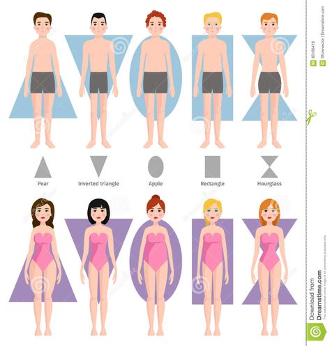 Body Shape Chart, Mens Body Types, Shape Drawing, Types Of Body Shapes, Body Type Drawing, Shape Chart, Rectangle Body Shape, Cartoon Body, Body Shape Drawing