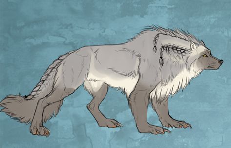 This will be the body type for her wolfbear/direwolf form (colours and details aren't accurate, it's a draft for a design I commissioned for another character the artist let me keep o/). Maybe it'll help convey the kind of vibe I'd like for the dragon -but don't feel obligated to stick to it, it's just a vibe, inspiration Direwolf Drawing, Dire Wolf Art, Wolf Oc, Animal Inspiration, Wolf Character, Animal Anatomy, Dire Wolf, Canine Art, Grey Wolf