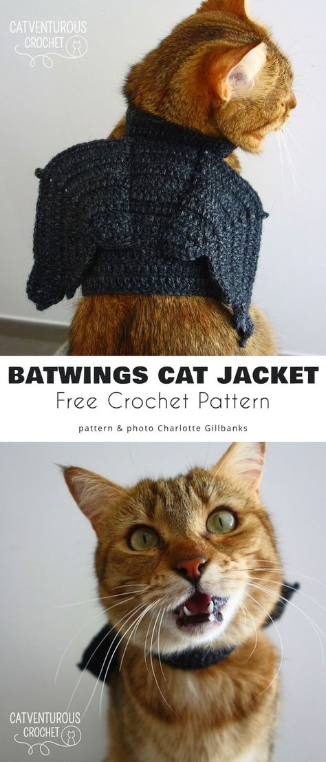 Crochet Cat Costumes Free Pattern, Crochet Pattern Cat Sweater, Sweater For Cat Crochet, Crochet Cat Bat Wings, Kitten Crochet Sweater, Cat Accessories Crochet Pattern Free, Crochet Cat Shirt Free Pattern, Crochet Cat Jacket, Crochet Kitten Clothes