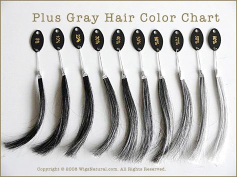 Wig Hair Colors, Grey Hair Colour Chart, Hair Color Samples, Hair Colour Chart, Grey Hair Colour, Hair Chart, Gray Wig, Grey Hair Looks, Grey Hair Don't Care