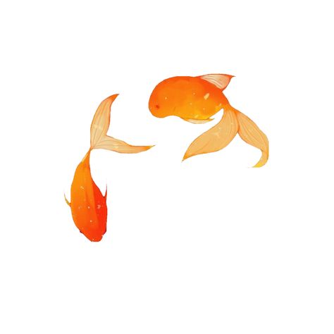 Koi Widget, Fish App Icon, Fish Widget, Sun Collage, Orange Phone, Orange Icons:), Fish Icon, Aesthetic Objects, Widget Icons