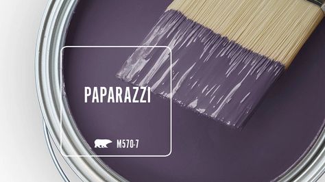 M570-7 PAPARAZZI | Behr Paint Colors Best Purple Paint Colors, Paint Colors Behr, Paint Colour Ideas, Purple Paint Colors, Behr Paint Colors, Paint Palettes, Behr Paint, Bathroom Paint, Purple Paint