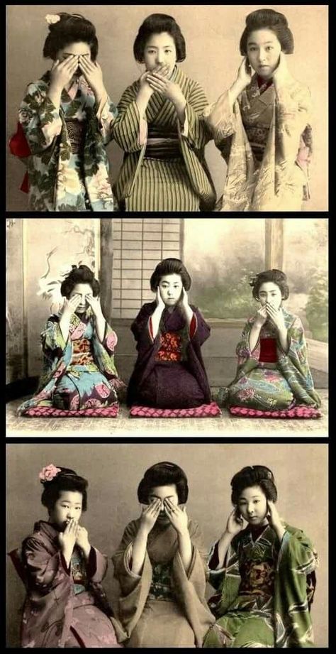 History Of Japan, Three Wise Monkeys, Japanese Costume, Wise Monkeys, Speak No Evil, Geisha Art, Japan History, Japanese History, Go To Japan