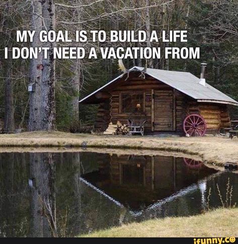 Need A Vacation, A Log, Life I, Log Cabin, In The Middle, The Middle, Cabin, Forest, Log