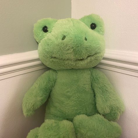 Green Frog Plush Aesthetic, Frog Build A Bear, Build A Bear Frog, Paw Patrol Ryder, Green Teddy Bear, Wallpaper And Icons, Frog Wallpaper, Frog Frog, Green Bear