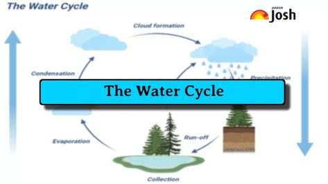 Water Cycle: Process, Stages and Diagram Water Cycle Process, Water Cycle For Kids, Water Cycle Diagram, Hydrological Cycle, Daughters Day Quotes, Cycle For Kids, The Water Cycle, Current Affairs Quiz, Butterfly Life Cycle