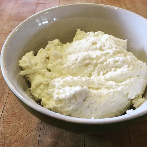 Lactose-Free Ricotta – Bee's Adventures Lactose Free Milk Recipes, Dairy Free Ricotta Cheese Recipe, Lactose Free Ricotta Cheese, Gf Appetizers, Lactose Free Desserts, Homemade Ricotta Cheese, Lactose Free Cheese, Dairy Free Cooking, Ricotta Cheese Recipes