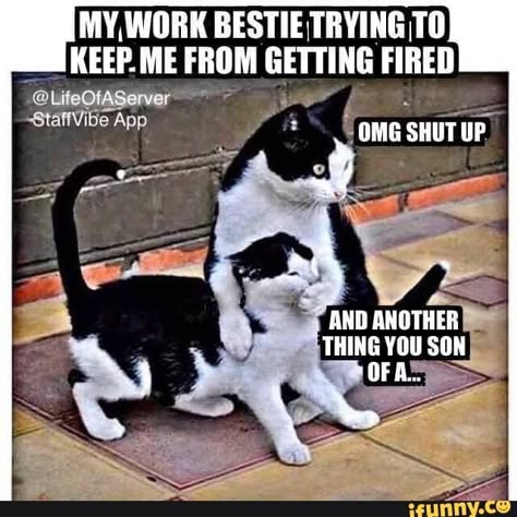 MY, WORK BESTIE TRYING TO KEEP. ME FROM GETTING FIRED THING YOU SON - iFunny :) Cheer Me Up Funny, Work Bestie Meme, Bestie Meme, Vw R32, Workplace Quotes, Work Funnies, Collateral Beauty, Teaching Humor, Job Humor