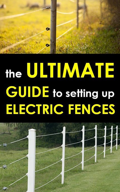 Horse Electric Fence, Electric Fence For Horses, Electric Fence For Dogs, Electric Fencing For Horses, Electric Fence For Cattle, Fences For Dogs, Solar Electric Fence, Rope Fence, Farm Fencing