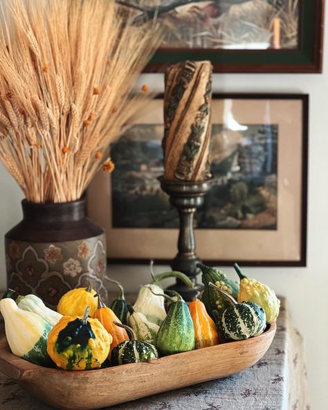 All the fall feels 🍂🍁 More in stories xx #bringingvintagetothetable #gatherings #gather #gathering #gatherandfeast #gatheringslikethese #theartofgathering #fall #fallvibes #autumn #autumnvibes Fall Feels, Holidays Thanksgiving, Thanksgiving Table, Gourds, Fall Vibes, Table Centerpieces, The Fall, The Table, Thanksgiving