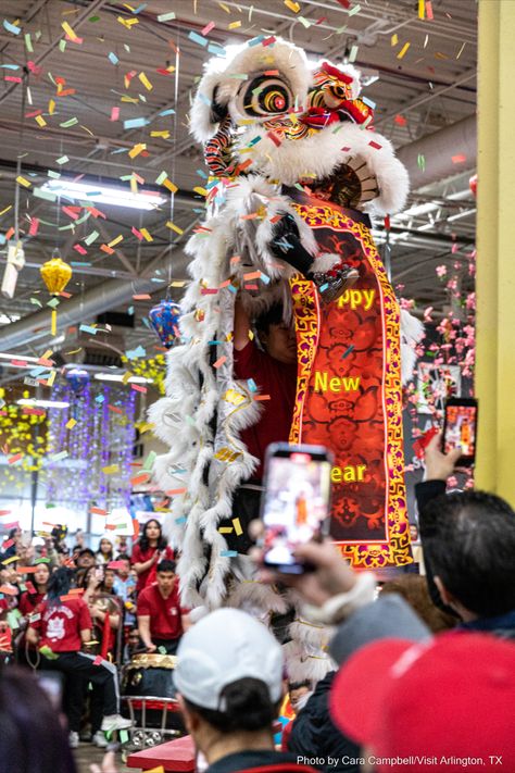 Lunar New Year 2023 celebration at Asia Times Square with the Phap Quang Lion Dance team. We hope that the #YearoftheCat brings you an abundance of prosperity, joy, and good vibes when you visit Arlington! Chúc mừng năm mới Tết Quý Mão! 🧨 🐱 🧧 Lunar New Year Mongolia, Chinese New Year Animals, Lunar New Year Lion Dance, 12 Zodiac Animals Chinese New Years, Chinese Lion Dance, Lion Dance, Dragon Dance, Year Of The Rabbit, Dance Performance