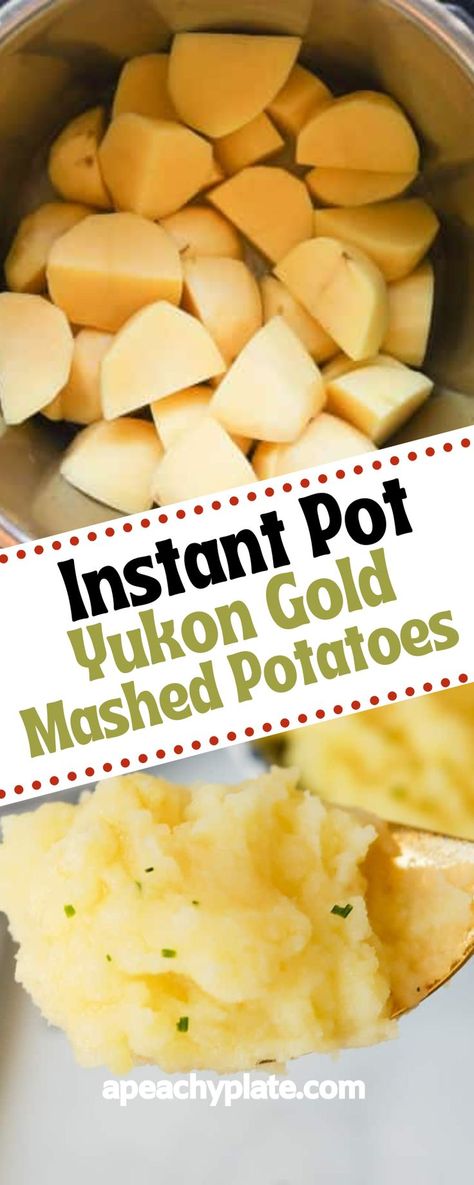 Gold Mashed Potatoes Recipe, Mashed Potatoes Instant Pot, Gold Mashed Potatoes, Mashed Potatoes With Gravy, Pressure Cooker Mashed Potatoes, Potatoes Instant Pot, Gold Potato Recipes, Yukon Gold Mashed Potatoes, Potato Recipes Crockpot