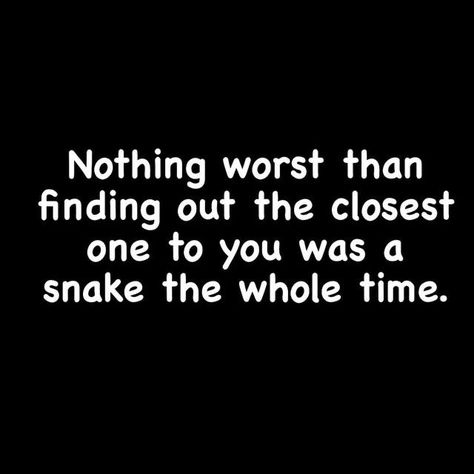 Quotes About Snakes, Snakes Quotes, Toxic Coworkers, Infidelity Quotes, 23 Quotes, Trust Yourself Quotes, Enemies Quotes, Family Issues Quotes, Perspective Quotes