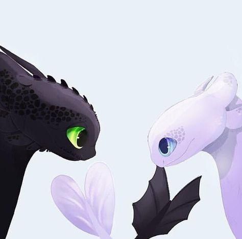 Toothless And Stitch, Painting Cartoon, Httyd Art, Light Fury, Cartoon Dragon, Httyd Dragons, Anime Christmas, Night Fury, White Dragon