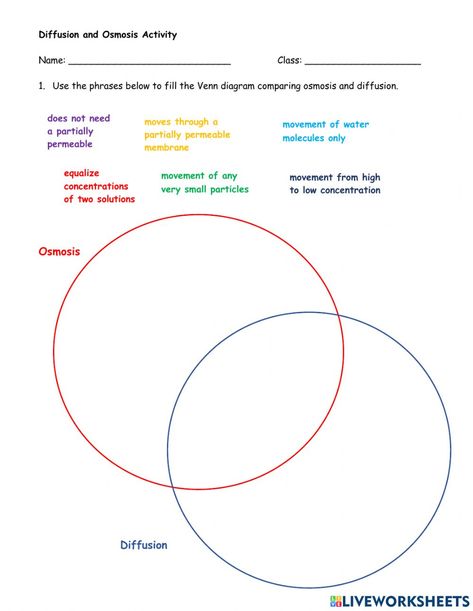 Osmosis Notes, Osmosis Biology, Diffusion And Osmosis Worksheet, Osmosis Skincare Products, Diffusion And Osmosis, Diffusion Osmosis Active Transport, 2nd Grade Spelling, Teaching Counting, Cursive Writing Worksheets