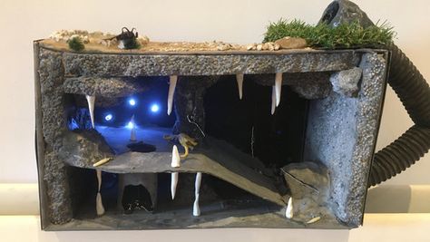 Cave Diorama Boxes, Cave Creatures, Cave Diorama, Shoebox Diorama, Woodlice, Frozen Art, Dark And Mysterious, Glow Worm, Eco Kids