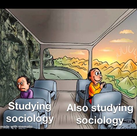 Sociology Memes (@SociologyMeme) / Twitter Sociology, Geology, Philosophy, Brain, Funny Memes, Memes, Funny, Twitter