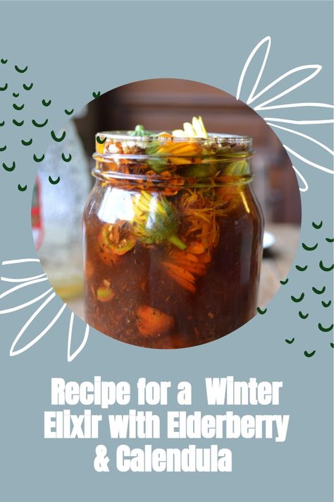 Herbal Kitchen, Aphrodisiac Foods, Herbal Academy, Natural Things, Winter Wellness, Winter Tea, Homemade Tea, Cold Symptoms, Herbal Recipes