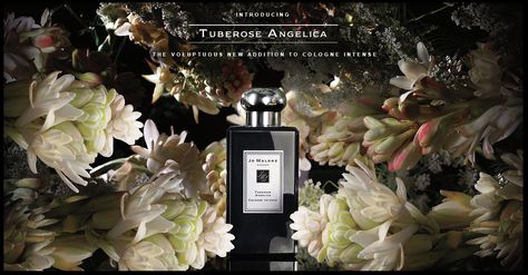 Jo Malone Tuberose Angelica Tuberose Angelica, Fragrance For Women, Jo Malone London, Jo Malone, White Flowers, Beauty Products, Scents, Bath And Body, Poster Design