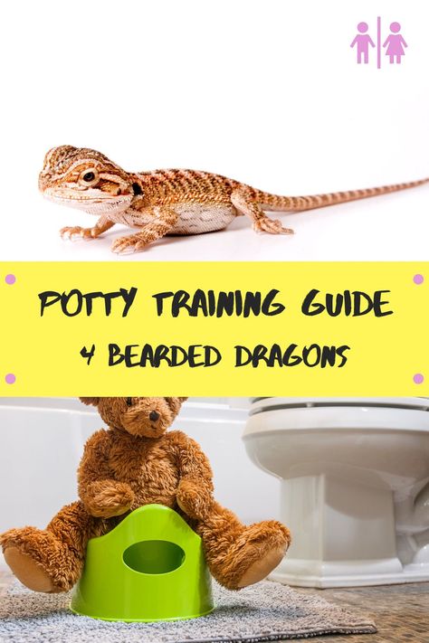 Bearded Dragon Tips, Bearded Dragon Feeding Guide, Bearded Dragon Feeding Schedule, How To Take Care Of A Bearded Dragon, Bearded Dragon Travel Cage, Bearded Dragon Bath Time, Potty Training Guide, Potty Training Methods, Bearded Dragon Tank