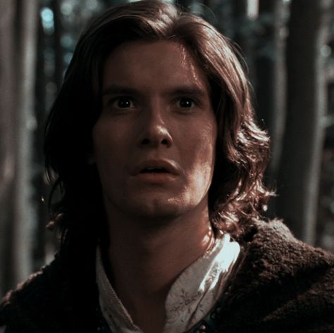 Prince Caspian Icon, Caspian Aesthetic, Narnia Facts, Benjamin Barnes, Attractive Characters, Narnia Aesthetic, Young Sirius Black, Fred Williams, Narnia Prince Caspian