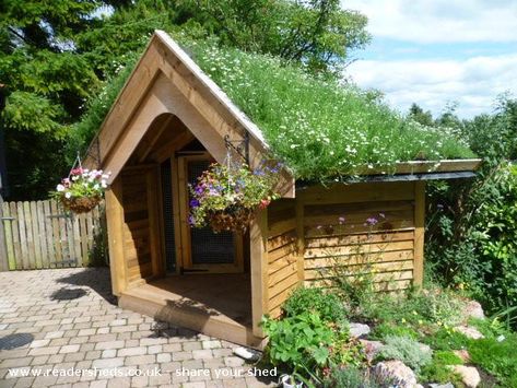 Cool dog house Shed Of The Year, Cool Dog Houses, Dog House Diy, Living Roofs, Shed Roof, Chicken House, Shed Design, Roof Garden, Shed Plans