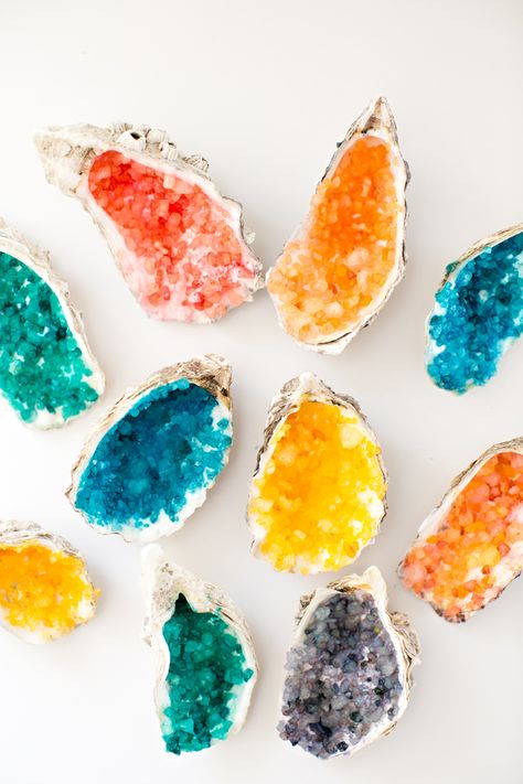 MAKE RAINBOW CRYSTAL SHELL BOWLS Borax Crystals, Hello Wonderful, Crystal Seashells, Oyster Shell Crafts, Creative Activities For Kids, Oyster Shells, Family Crafts, Rainbow Crystal, Seashell Crafts