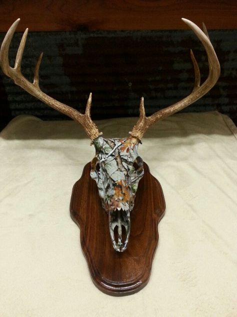 Camo dipped deer head on a plaque Hydro Dipped Deer Skull, Dipped Deer Skull, Hunting Mounts, Hydrographic Dipping, Deer Skull Tattoos, Painted Skulls, Deer Heads, European Mount, Paint Dipping