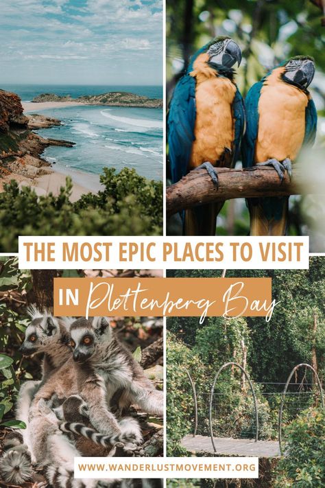 On the hunt for the best things to do in Plettenberg Bay, South Africa? Here is everything you don't want to miss when visiting this town! South Africa Travel | Garden Route, South Africa | #southafrica #africatravel #gardenroute #plettenbergbay Upington South Africa, Plettenberg Bay South Africa, Jeffreys Bay South Africa, South Africa Itinerary, Garden Route South Africa, South Africa Vacation, Africa Itinerary, Jeffreys Bay, Africa Vacation