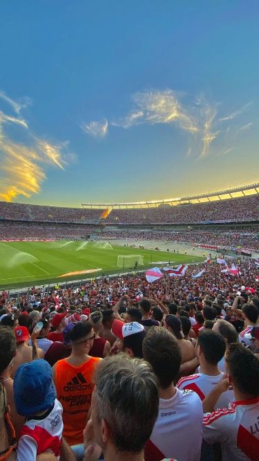 River Plate Aesthetic, Monumental River, Escudo River Plate, River Plate, Carp, Vision Board, Soccer, In This Moment, Instagram