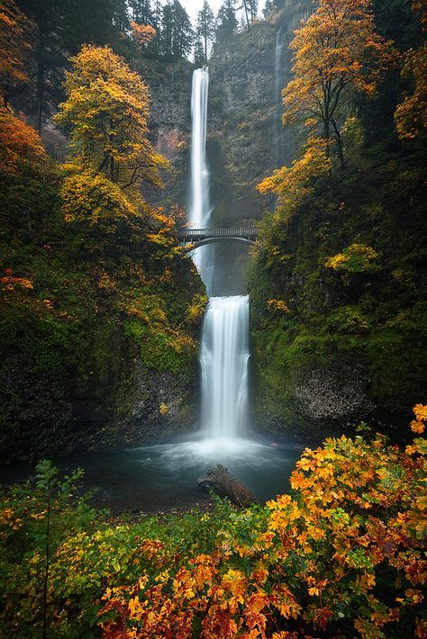 Multnomah Falls Oregon, Oregon Nature, Magic Places, Fall Landscape Photography, Multnomah Falls, Colorful Places, Air Terjun, Landscape Photography Nature, Columbia River