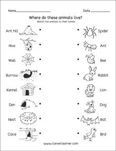 Kindergarten printables on animal homes Animal And Their Homes Worksheets, Animal Homes Kindergarten, Animals Home Worksheet, Homes Of Animals Worksheet, Animal Homes Worksheet, Animals And Their Homes Printables, Animal Homes Preschool, Animals And Their Homes Worksheets, Animals House Preschool