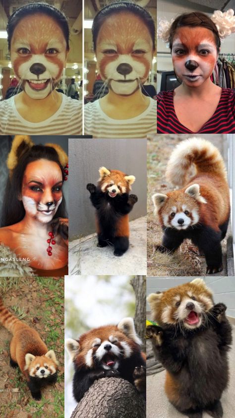 Red Panda Makeup Halloween, Red Panda Makeup, Panda Face Paint, Red Panda Costume, Panda Makeup, Panda Costume, Panda Costumes, Panda Face, Stage Makeup