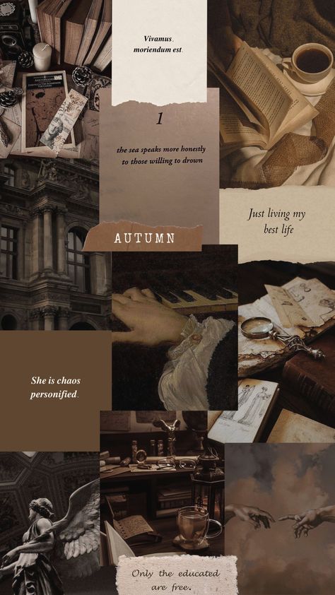 #darkacademia #darkacademiaaesthetic Dark Acedamia Core, Dark Academia Autumn Aesthetic, Book Icons Aesthetic, Dark Academia Aesthetic Study, Obscure Aesthetic, Vintage Mood Board, Academia Aesthetic Wallpaper, Dark Academia Wallpaper, Aesthetic Quote