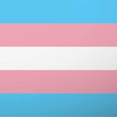 3" x 3" sticker Trans Masc Flag, Transgender Flag, Flag Wallpaper, Trans Flag, Flag Colors, Future Life, Pride Flags, Philosophy, Sydney