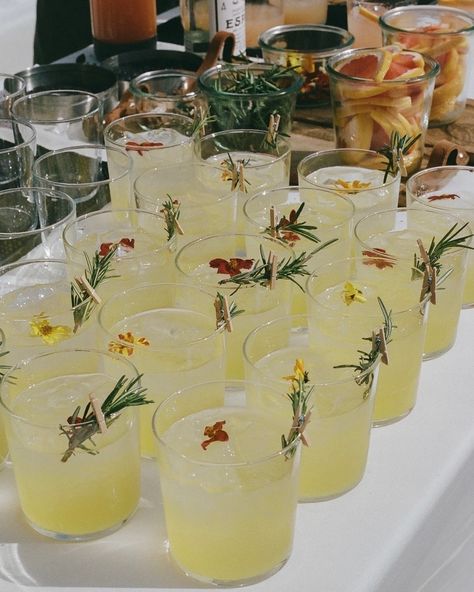 Nothing kicks off cocktail hour quite like a @thewhiskeychaserbar cocktail, especially if they are prepped and ready to go to minimize bar lines! For Saskia and Jack’s spring wedding they went with a colorful and refreshing cocktail made of Lillet Blanc, tangerine juice, rosemary syrup, and lemon sparkling water which was perfect for their springtime wedding. Cocktail hour was a vibrant, relaxed good time for all guests! Venue: Oak Hill Farm Bartending: @thewhiskeychaserbar Rentals and Danc... Backyard Wedding Bartender, Cocktail Hour Inspiration, Cocktail Bar Wedding, Wedding Cocktail Hour, Rosemary Syrup, Tangerine Juice, Springtime Wedding, Cocktail Hour Wedding, Wedding Cocktail Party