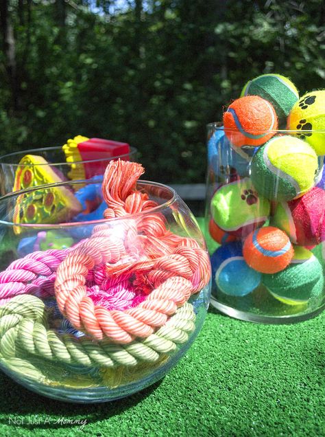 Dog Birthday Party At Dog Park, Dog Picnic Party, Doggie Party Ideas, Barkday Party Ideas, Games For Dog Party, Puppy Party For Dogs, Doggie Birthday Party For Dogs, Yappy Hour Dogs, Dog Beach Party