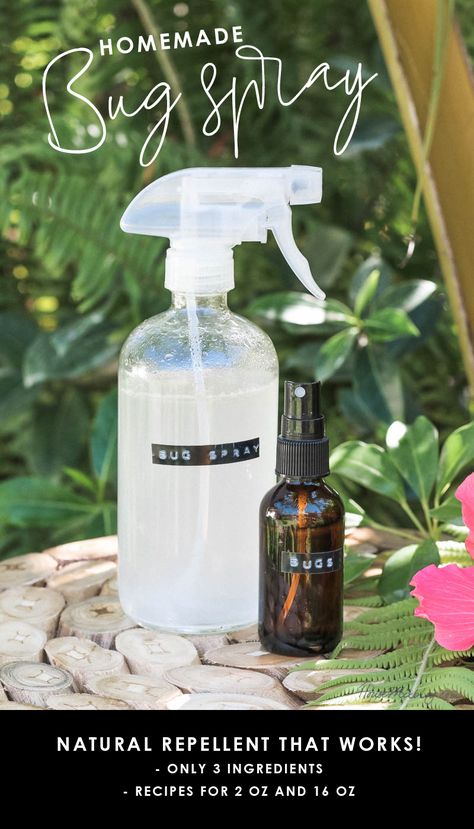 DIY natural bug spray – House Mix Witch Hazel Bug Spray, Diy Natural Bug Spray, Cedar Oil Bug Spray, Bug Spray With Essential Oils, Bug Spray Essential Oils, Homemade Bug Spray Recipe, Natural Bug Spray Recipe, Homemade Bug Repellent, Essential Oil Bug Spray