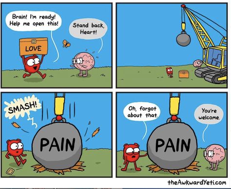 Heart And Brain Comic, Heart Vs Brain, Awkward Yeti, The Awkward Yeti, Memes Cute, Heart And Brain, Heart Talk, Love Birthday Quotes, Life Comics