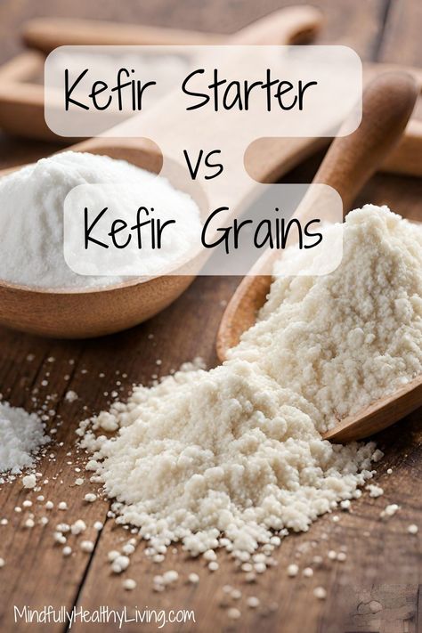 A Pinterest-optimized image of A wooden bowl of freeze-dried kefir starter powder next to a bowl of kefir starter grains and text overlay that says kefir starter vs kefir grains mindfullyhealthyliving.com Kefir Sourdough Starter, Vegan Kefir Recipe, Kefir Grains How To Make, Making Kefir At Home, Homemade Kefir Recipes, What To Do With Kefir, How To Make Kefir At Home, Vegan Kefir, Making Kefir