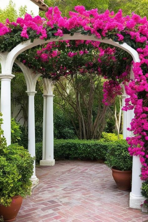 10 Best Climbing Vines For Pergola Pergola Plants Vines, Vines For Pergola, Green Pergola, Jasmine Images, Trumpet Vine, Covered Pergola, Climbing Vines, How To Attract Hummingbirds, Climbing Roses