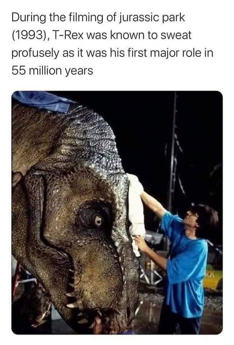 Jurrasic Park, Disney Jokes, Seriously Funny, Funny Animal Jokes, Very Funny Pictures, Some Funny Jokes, Really Funny Joke, Animal Jokes, Hysterically Funny