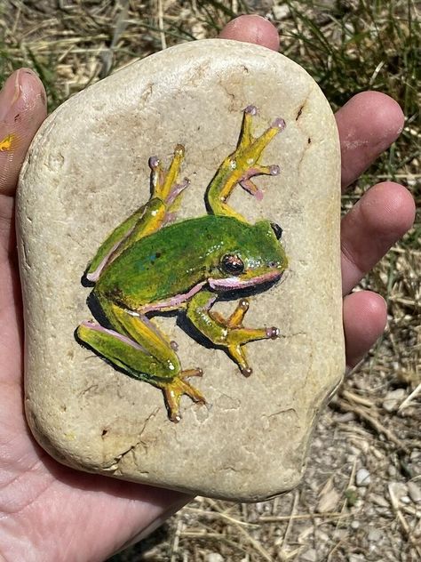 Rock Painting Realistic, Frog Painting Easy, Turtle Rock Painting, Turtle Painted Rocks, Frog Rock, Garden Rock Art, Diy Rock Art, Painted Rock Animals, Art Pierre