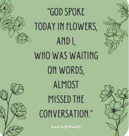 God Spoke Today In Flowers, Gardening Quotes, Fina Ord, Garden Quotes, Quotable Quotes, Powerful Words, Good Thoughts, Pretty Words, Great Quotes